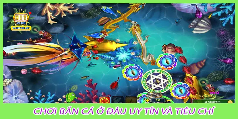 Chơi bắn cá ở đâu uy tín và tiêu chí