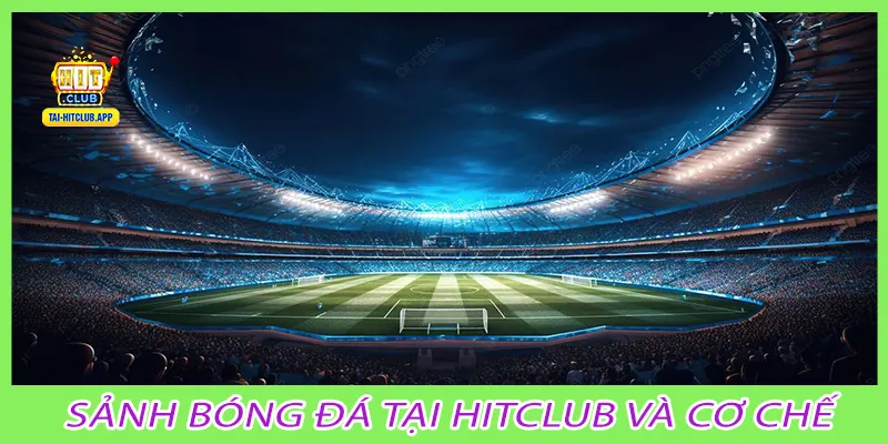 Sảnh bóng đá tại Hitclub và cơ chế